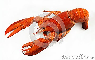 Fresh american lobster, whole silhouette on a white background. Tasty dish Stock Photo