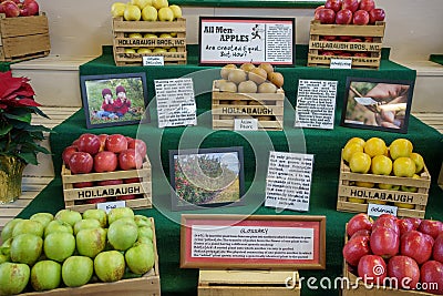 Fresh Apple Display at PA Farm Show Editorial Stock Photo