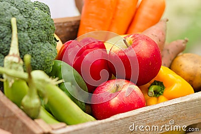 Fresh apple and vegetable harvest from organic farm Stock Photo