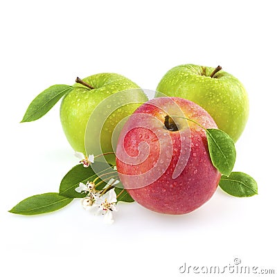 Fresh apples Stock Photo