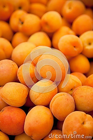 Fresh apricots Stock Photo