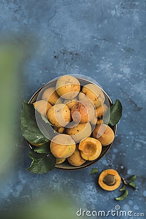 Fresh apricots in a bowl on a light blue background Stock Photo