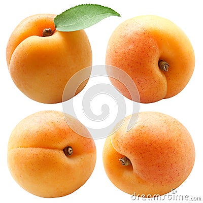Fresh apricots with green leaf isolated on white Stock Photo