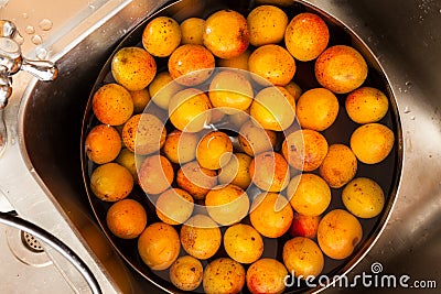 Fresh Apricots In The Water Stock Photo