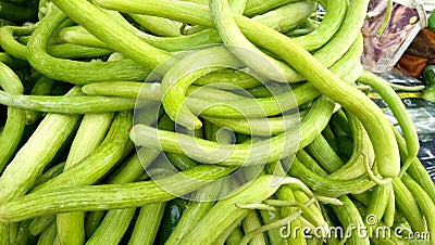 Fresh Armenian cucumbers Stock Photo