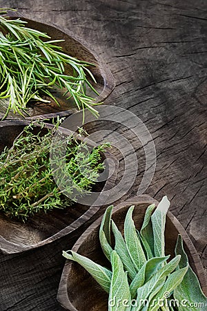 Fresh aromatic herbs Stock Photo