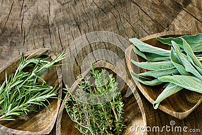 Fresh aromatic herbs Stock Photo
