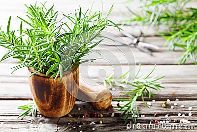 Fresh aromatic rosemary in mortar bowl for cooking Stock Photo