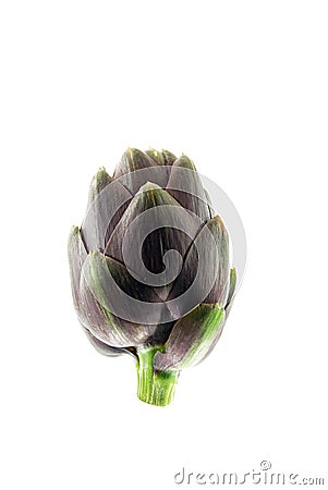 Fresh artichoke Stock Photo