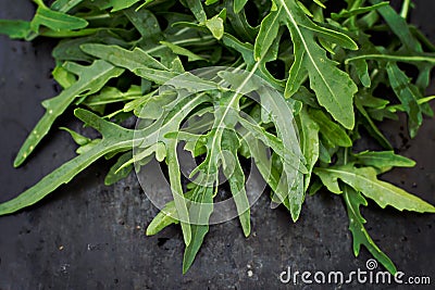 Fresh arugula leaves Stock Photo