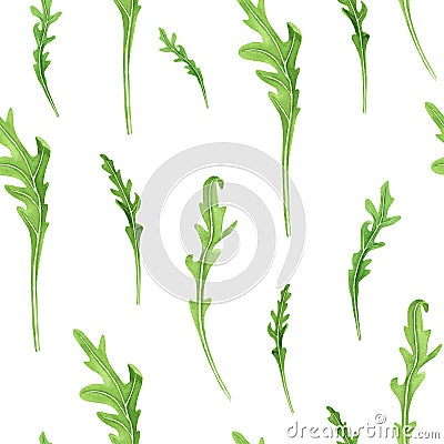 Fresh arugula seamless pattern on white background. Watercolor hand drawing illustration. Art for decoration and design Cartoon Illustration