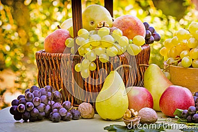 Fresh autumn fruits Stock Photo