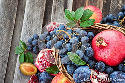 Fresh autumn fruits Stock Photo