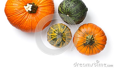 Fresh Autumn Pumpkins Isolated On White Background Stock Photo
