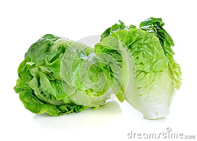 Fresh baby cos (lettuce) Stock Photo
