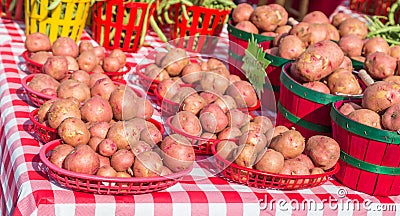 Fresh Baby Potatoes at a Local Farmers Market Stock Photo