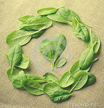 Fresh Baby spinach leaves on sackcloth background. Top view with copy space, round circle frame. Love, Healthy, Ecology Stock Photo