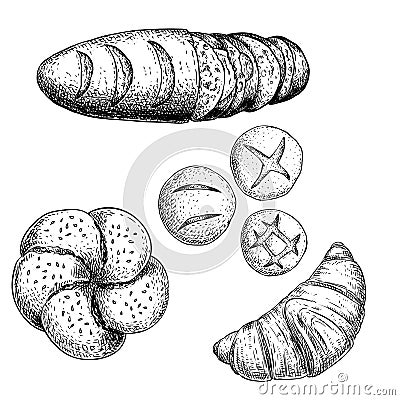 Fresh baked bakery goods set. French baguette with slices, croissant, bread roll and different bread buns. Top view. Hand drawn sk Vector Illustration