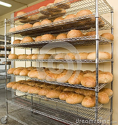 Fresh Baked Bread on Rack Stock Photo