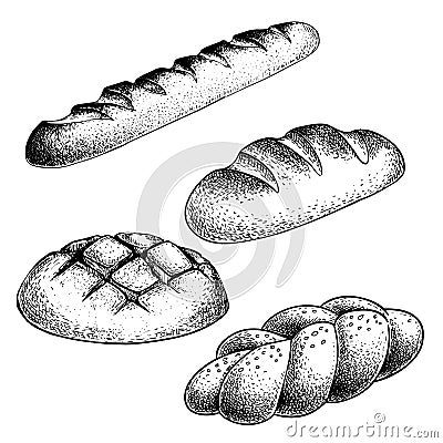 Fresh baked bread set. French baguette, loaf buns, braid bun. Hand drawn sketch style illustrations for bakery shop and packagie. Vector Illustration