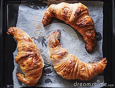 Fresh baked Croissants on oven waxed paper and black tray Stock Photo