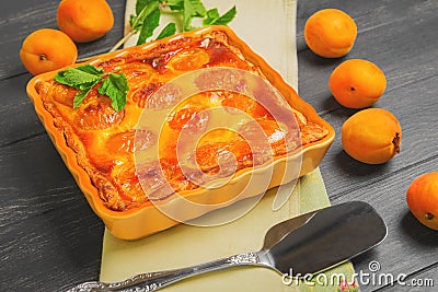 Fresh baked fruit pie tart with apricot Stock Photo