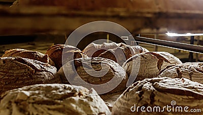 Fresh baked loaves of bread on a rack in a bakery. The concept o Stock Photo