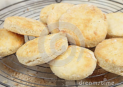 Fresh baked scones or busi Stock Photo