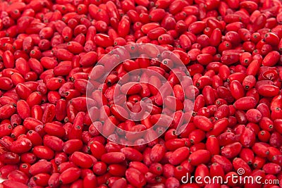 Fresh barberry Stock Photo