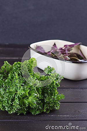 Fresh basil greens, parsley on a black background Stock Photo