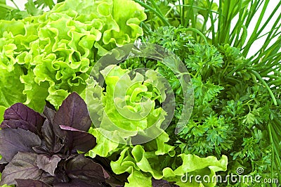 Fresh basil, lettuce, parsley and onion close-up Stock Photo