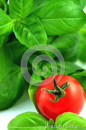 Fresh basil and tomato Stock Photo