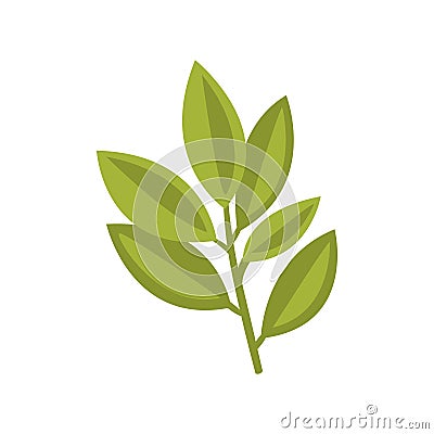 Fresh Basol Plant Herb Primitive Cartoon Icon, Part Of Pizza Cafe Series Of Clipart Illustrations Vector Illustration