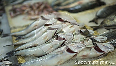 Fresh bass at fish market Stock Photo