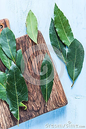 Fresh bay leaves herb on pastel wooden table Stock Photo