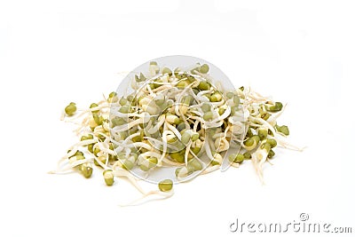 Fresh Bean Sprouts Stock Photo