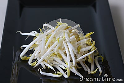 Fresh bean sprouts in the black background Stock Photo