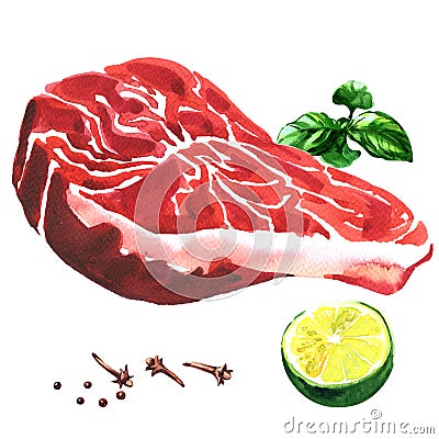 Fresh beef steak, raw marbled beef with lime, basil, spices, food concept, isolated, hand drawn watercolor illustration Cartoon Illustration