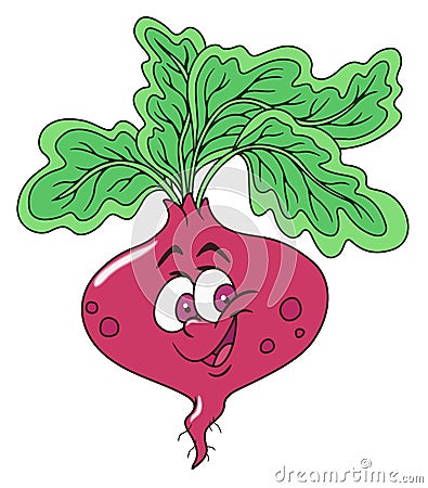 Fresh beetroot cartoon Vector Illustration