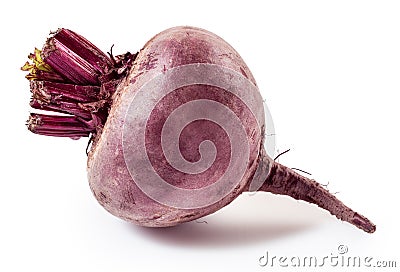 Fresh beetroot isolated on white Stock Photo