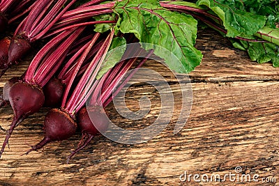 Fresh beetroots from organic farm Stock Photo