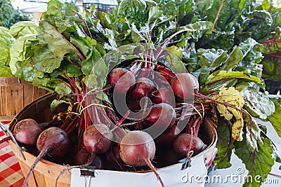 Fresh Beets at a Produce Stand Stock Photo