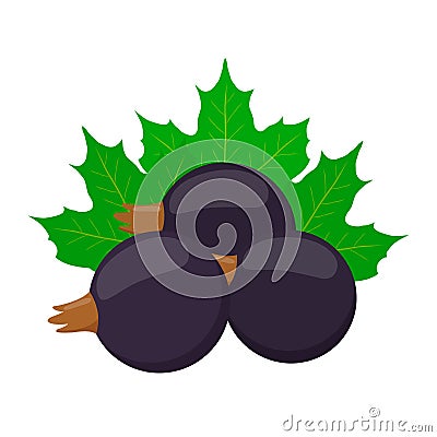 Fresh berries, black currant. Vegetarian food. Flat style. Vector Illustration