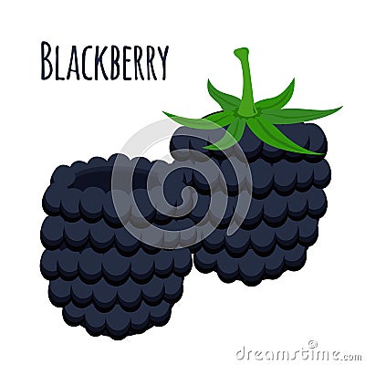 Fresh berries, sweet blackberry. Vegetarian food. Flat style. Vector Illustration