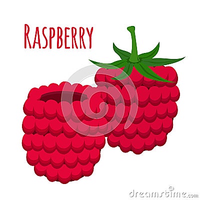 Fresh berries, sweet raspberry. Vegetarian food. Flat style. Vector Illustration