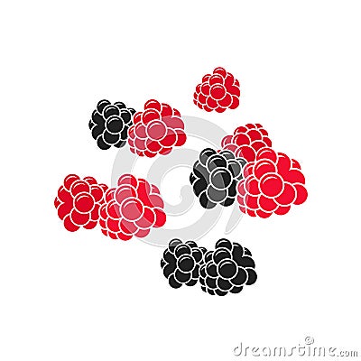 Fresh berries. Juicy raspberry and blackberry Vector Illustration