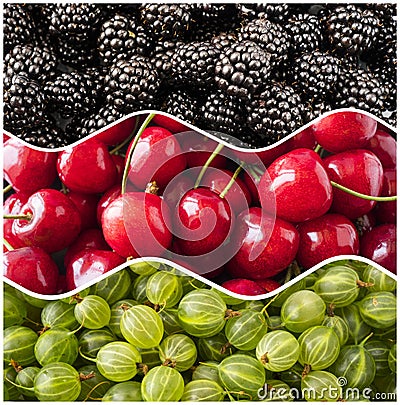 Fresh berry background. Top view. Blackberries, cherries and gooseberries in the shape of a circle. Berries for infographics. Stock Photo