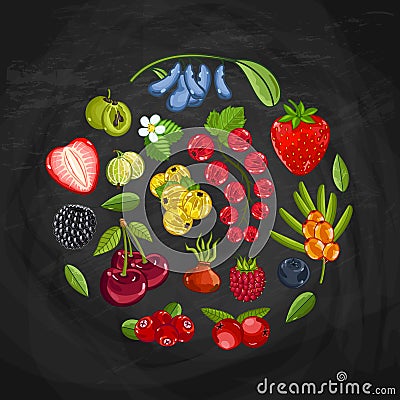 Fresh berry round shape composition Vector Illustration