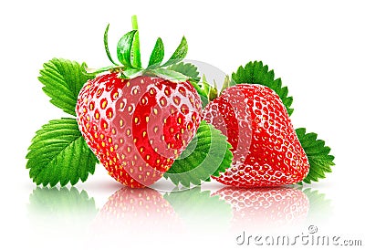 Fresh berry strawberry with green leaves. Fruity Stock Photo