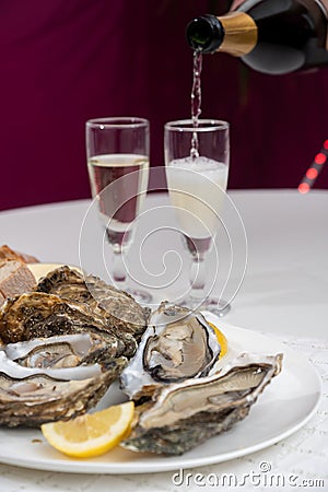 Fresh big french, dutch, pacific or japanese oysters molluscs, size number 1, served with fresh lemon, raw sea food Stock Photo